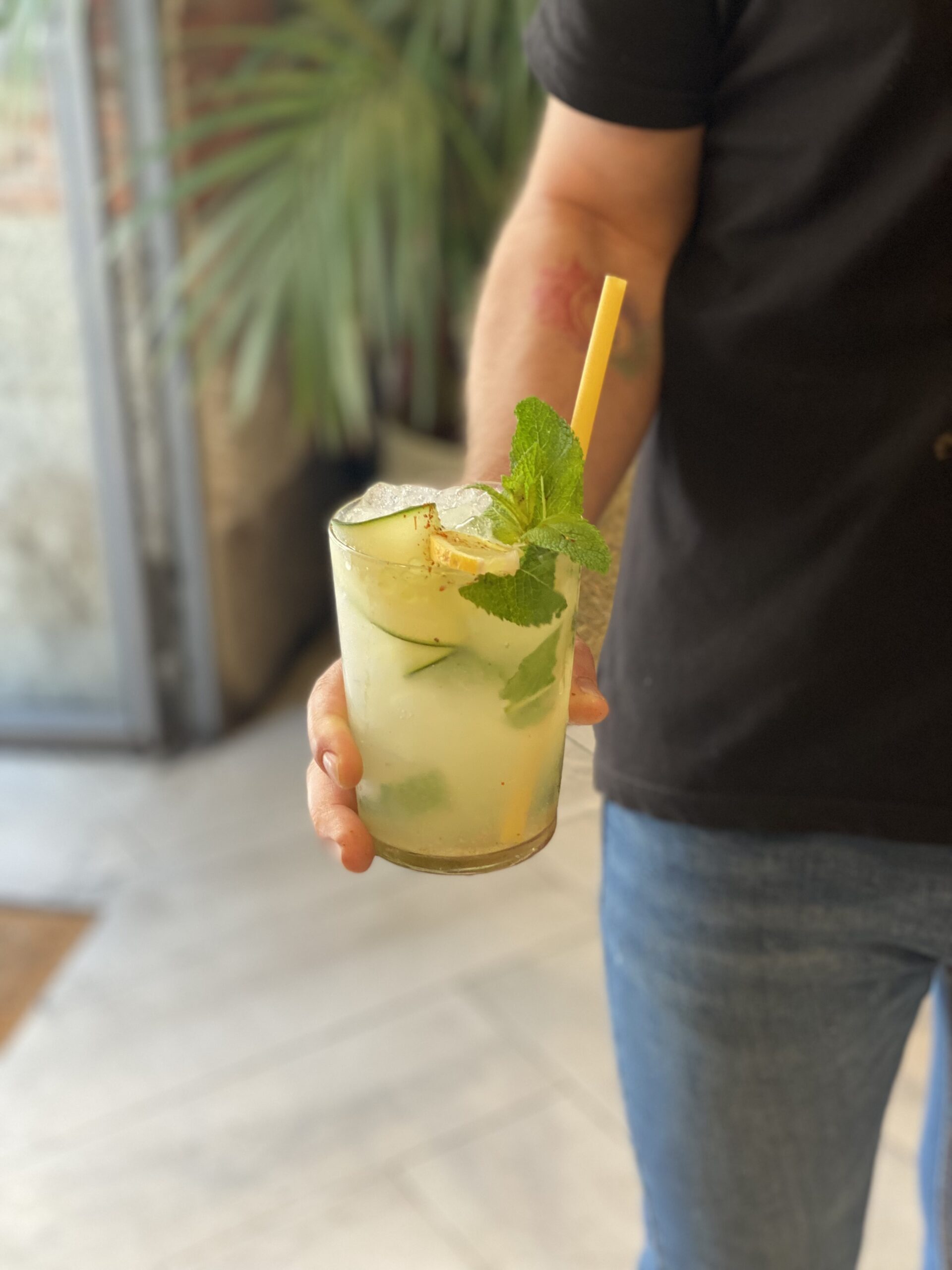 bebida coctel